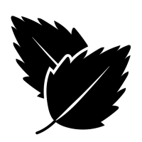 picto de deux feuilles