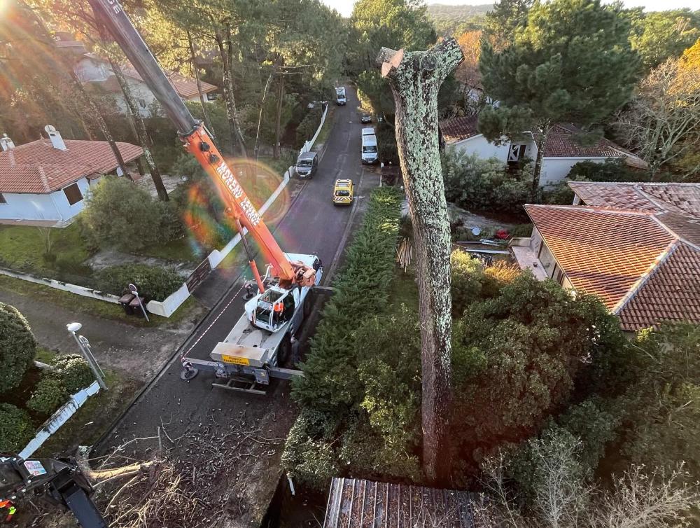 abattage par démontage à Lignan-de-Bazas